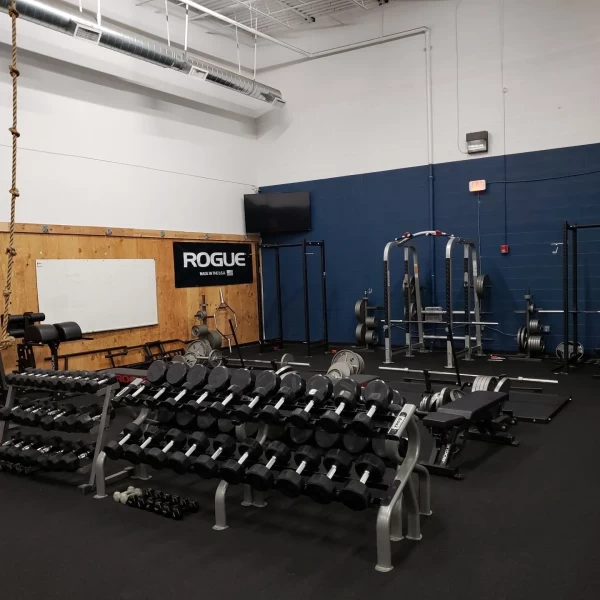 Elite Physique Gym Rio Rancho Image 16