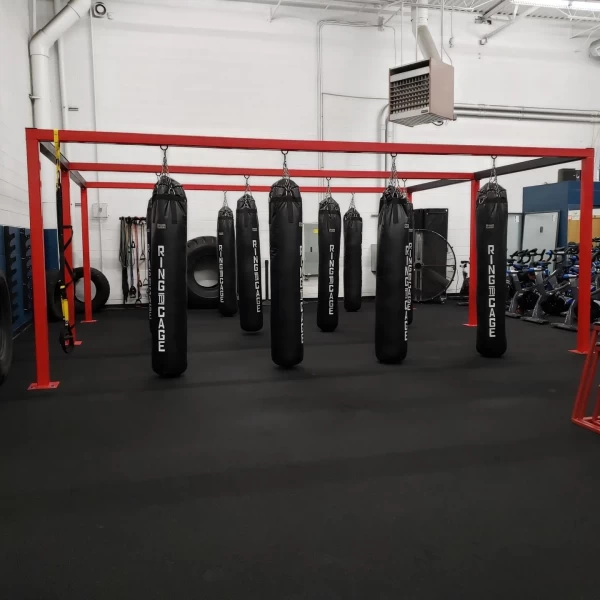 Elite Physique Gym Rio Rancho Image 17