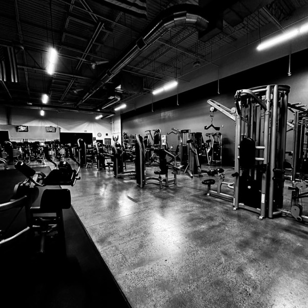 Elite Physique Gym Rio Rancho Image 14